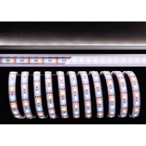 Light Impressions Deko-Light flexibilní LED pásek 5050-60-12V-3000K plus 6500K-5m 12V DC 50,00 W 3000-6500 K 3250 lm 5000 mm 840098