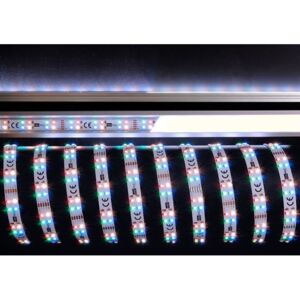 Light Impressions Deko-Light flexibilní LED pásek 3528-2x72-12V-RGB plus 3000K-5m 12V DC 38,00 W 3000 K 1400 lm 5000 mm 840104