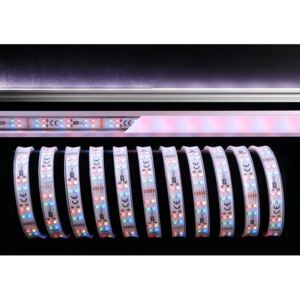 Light Impressions Deko-Light flexibilní LED pásek 3528-2x72-12V-RGB plus 3000K-5m-Silikon 12V DC 36,00 W 3000 K 1000 lm 5000 mm 840052