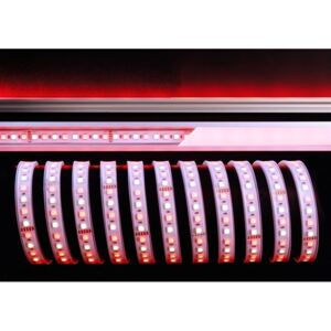 Deko-Light flexibilní LED pásek 5050-96-24V-RGB plus 2800K-5m-Silikon 24V DC 65,00 W 2800 K 2600 lm 5000 mm 840145