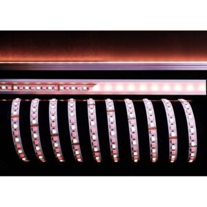 Deko-Light flexibilní LED pásek 5050-96-24V-RGB plus 3000K-5m 24V DC 65,00 W 3000 K 2700 lm 5000 mm 840144