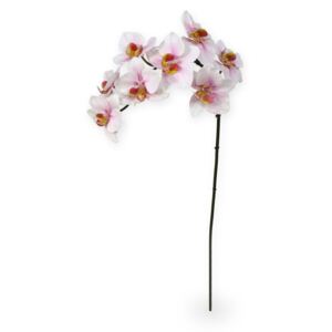 MF Umělá květina Orchidej větvička Phalaenopsis (80cm) - růžová