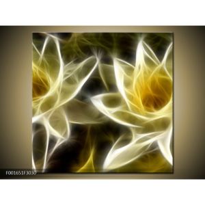 Abstraktní obraz - květiny (F001651F3030)
