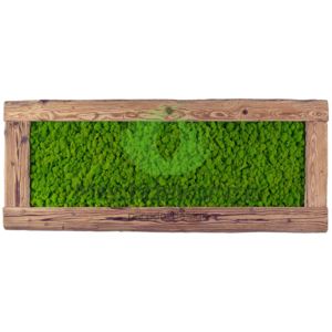 Mechdekor Obraz z masivu 136x56cm (staré dřevo) – Sobí mech světlé zelený – spring green