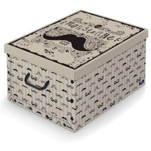 Úložný box s rukojetí Domopak Mustache, délka 50 cm