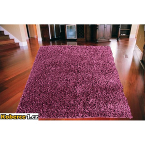Kusový koberec Shaggy vlas 50 mm fialový 120x170, Velikosti 120x170cm