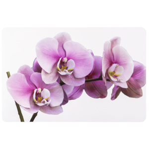 Koopman Prostírání Orchidej 43,5 x 28,5 cm, sada 4 ks