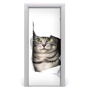 Fototapeta samolepící na dveře kočka v díře