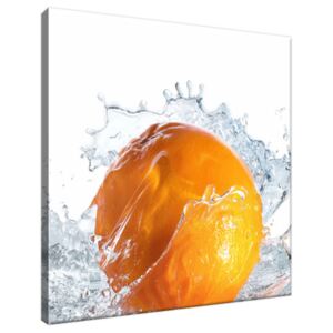 Obraz na plátně Pomerančový šplouch 30x30cm 1142A_1AI