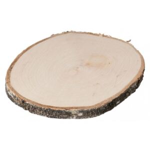 Dřevěná podložka z kmene břízy | 15-20 cm