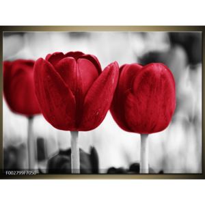 Obraz dvou červených květin (F002799F7050)