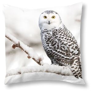 Povlak na polštář Muller Textiels Snowy Owl, 50 x 50 cm