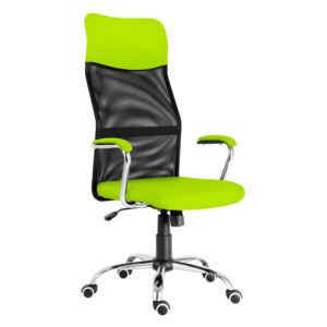 Kancelářská židle ERGODO CAMELI zeleno-černá