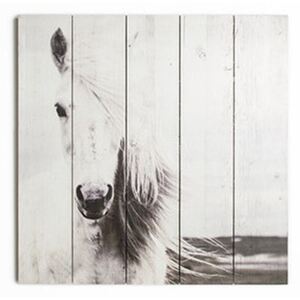 Dřevěný obraz Graham & Brown Horse, 50 x 50 cm