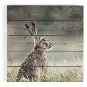 Dřevěný obraz Graham & Brown Hare, 50 x 50 cm