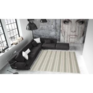 Vysoce odolný koberec vhodný do exteriéru Floorita Riga, 160 x 230 cm