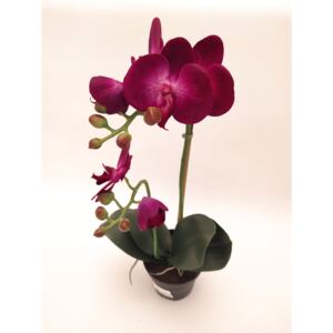 Animadecor Umělá dekorace - Orchidea v květináči tmavě fialová 45cm