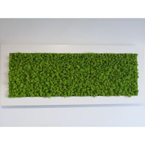 Mechdekor Obraz z masivu 136x56cm bílý dřevěný rám – Sobí mech (Spring Green)