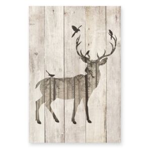 Dřevěná nástěnná dekorativní cedule Surdic Watercolor Deer, 40 x 60 cm