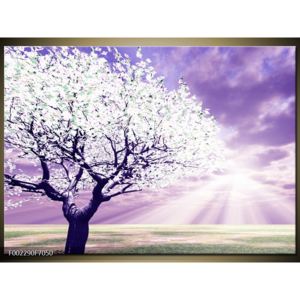Krásný obraz kvetoucího stromu (F002290F7050)