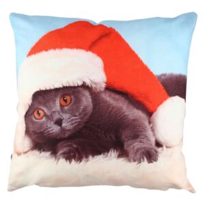 Polštář Christmas Cat, 43 x 43 cm