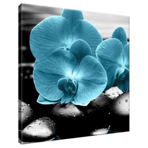 Obraz na plátně Tyrkysová orchidej a kameny 30x30cm 2398A_1AI