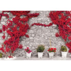 Postershop Fototapeta: Červená květinová zeď - 104x152,5 cm