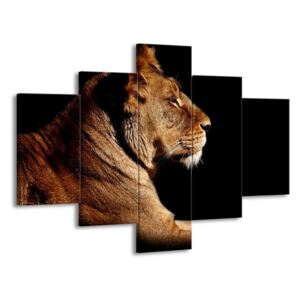 Vícedílný obraz Hrdost lva 100x70 cm