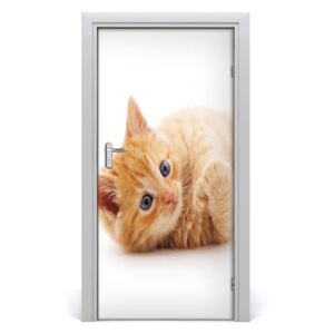 Samolepící fototapeta na dveře Malá rudá kočka