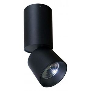 Stropní LED svítidlo Polux Nixa 10 309495
