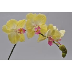 Silk-ka Orchidej žlutá 56 cm
