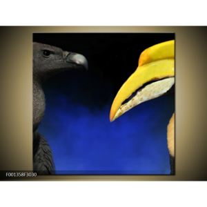 Obraz ptačích zobáku (F001358F3030)