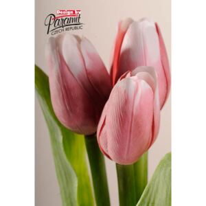 Paramit Umělý tulipán tmavě růžovo-bílý