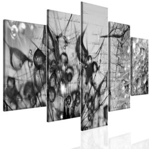 Černobílý obraz kapky rosy + háčky, hřebíčky, čistící hadřík ZDARMA Velikost (šířka x výška): 150x70 cm