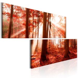 Obraz podzimní les + háčky a hřebíčky ZDARMA Velikost (šířka x výška): 180x90 cm