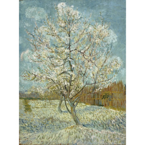 Almond blossom
