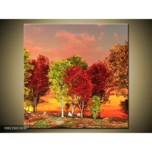 Obraz barevných stromů (F002283F3030)
