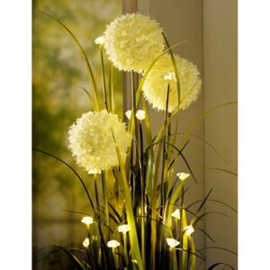 LED Květinová dekorace Allium