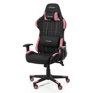 Herní židle k PC Eracer F02 s područkami černá-růžová