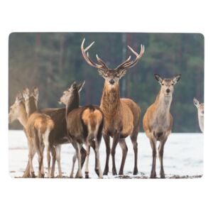 4ks pevné korkové prostírání s jelenem Deer winter - 30*40*0,4cm