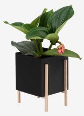 Květník se stojanem Botanic Pot Square Black Design House Stockholm