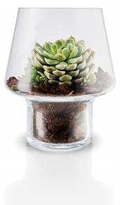 Skleněná váza na sukulenty Succulent Vase 15 cm Eva Solo