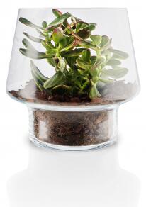 Skleněná váza na sukulenty Succulent Vase 21 cm Eva Solo