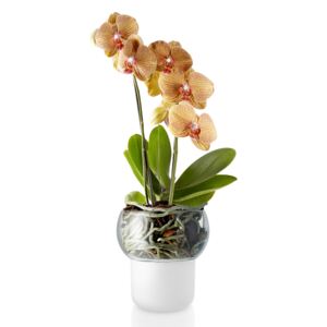 Eva Solo Skleněný samozavlažovací květináč na orchideje Ø 13 cm