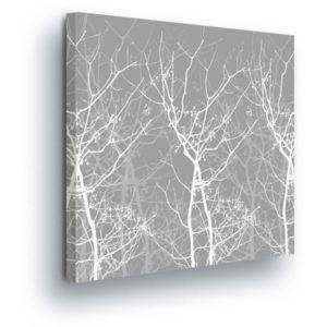 Obraz na plátně - Bílá Vlákna na Šedém Podkladu 40x40 cm