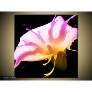 Moderní obraz pestrobarevného květu (F003523F3030)