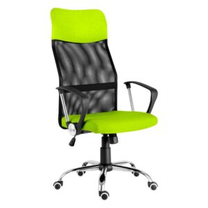 Kancelářská židle ERGODO BASIC PLUS zeleno-černá