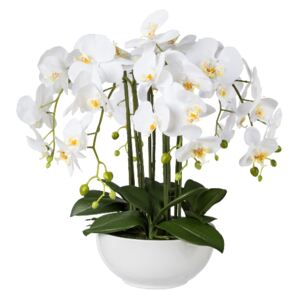 Orchidej bílá v květináči, 54cm (Umělá květina)
