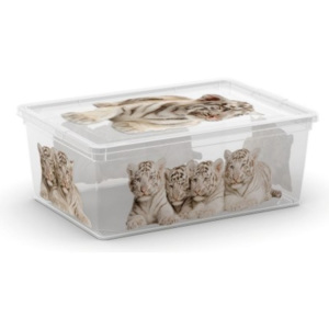 KIS Úložný box Style Wild S, 10,5 litrů s motivem lvíčat