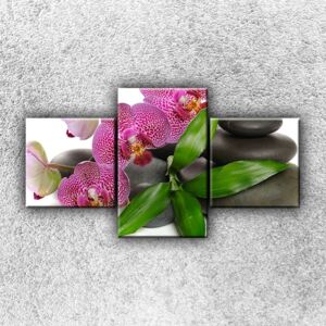Květy orchidejí 2 (90 x 50 cm) - Třídílný obraz